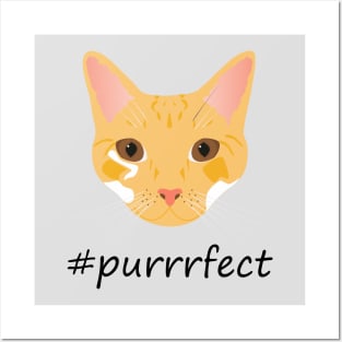 purrrfect Posters and Art